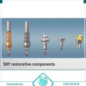 SKY (Bredent) implant